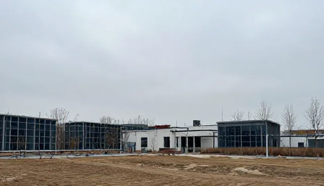 管理咨询:如何选择适合的处理方法
